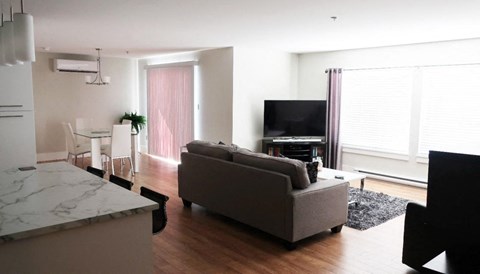 a living room with a couch and a television